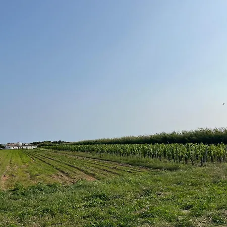 Avec Piscine Chauffee, A 5mn De La Holiday home