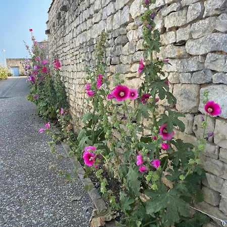 Avec Piscine Chauffee, A 5mn De La *